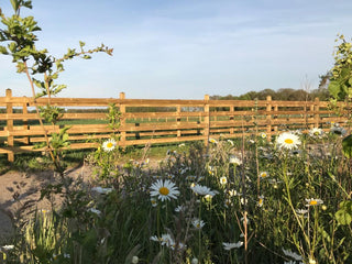 Screw-on fence Lord 3 beams - 3 beams - Lands End B.V.