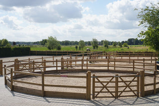 Economy Longierzirkel - Mit 2 Longierzügen - Lands End B.V.