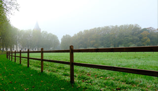 Queen Dark-Brown - 3 beams 2