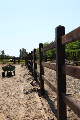Queen Dark-Brown Longierzirkel – Mit 3 Longierzügen – Lands End B.V.