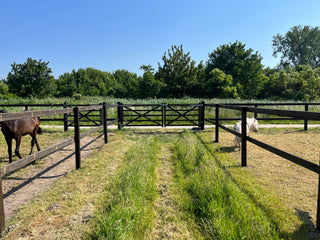 Lord Dura2 Schraubzaun - 2 Balken - Lands End B.V.