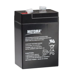 Battery for S10, S16, S20 - 6V, 4Ah - Lands End B.V.