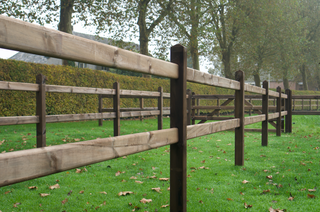 Queen Dark-Brown - 2 Balken 2