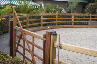 Queen Lunge Circle – Mit 3 Stangen