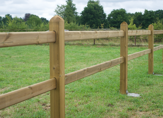 Präsidenten - 2 Balken 2