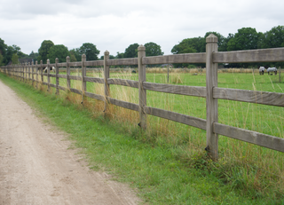 Royal Tropic - 3 liggers 4