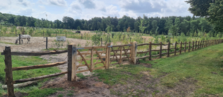 Post and Rail - 3-girder system 2