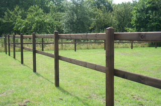 Riding arena Lord Dark-Brown - With 2 bars