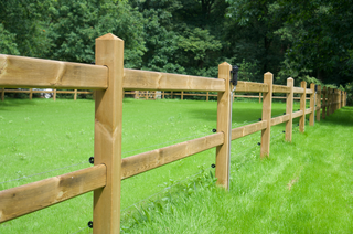 Reitplatzpaket Queen - Mit 2 Balken