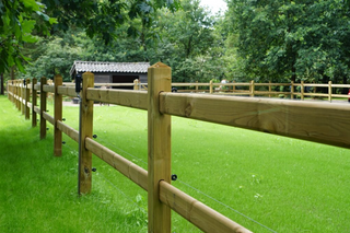 Reitplatzpaket Queen - Mit 2 Balken 2