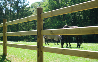 Reitplatzpaket massiv - mit 3 Balken