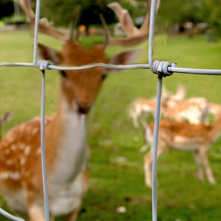 Prairie® Heavy Mesh - 100 cm high | 50 m roll - Lands End B.V.