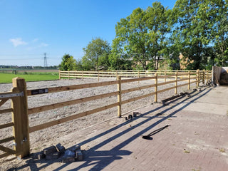 Riding Arena Package Economy - With 3 girders - Lands End B.V.