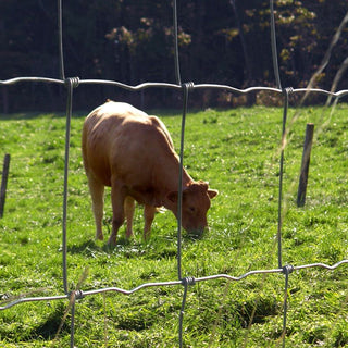 Prairie® Lightweight mesh - 100 cm high | 50 m roll | 9/15 - Lands End B.V.