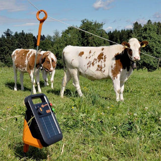 S20 solar electric fence energizer - incl. battery (6 V - 4 Ah) - Lands End B.V.
