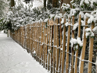 Winnaar foto-loting wintermaanden