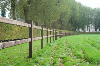 Reitplatz Zaun Queen Dark-Brown - Mit 2 Riegel