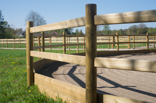 Lunging circle Massief - with 2 rails