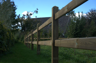 Queen – 2 Riegel